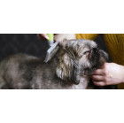 Moser 2999-7065 vidutinis slicker šepetys gyvūnams