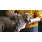 Moser 2999-7065 vidutinis slicker šepetys gyvūnams